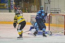 Eishockey, Herren, 6. Vinschgau-Cup, Saison 2022-2023, ERC Ingolstadt - HC Pustertal, 26.08.2022