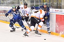 ERC Ingolstadt- Grizzlys Wolfsburg, Eishockey, DEL, Deutsche Eishockey Liga, Vorb., 13.08.2017