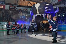 ERC Ingolstadt vs Eisbären Berlin, DEL, Deutsche Eishockey Liga, Spieltag 49, 22.02.2019