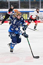 Eishockey, Frauen, DFEL, Saison 2024-2025, ERC Ingolstadt - EC Bergkamener Bären, 04.01.2025