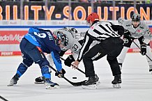 Eishockey, Herren, DEL, Saison 2024-2025, Spieltag 36, ERC Ingolstadt - Kölner Haie, 12.01.2025