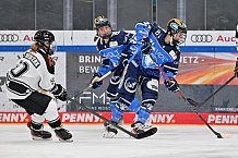 Eishockey, Frauen, DFEL, Saison 2023-2024, ERC Ingolstadt - Amsterdam Tigers, 06.01.2024