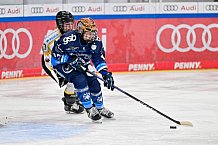 Eishockey, Frauen, DFEL, Saison 2024-2025, ERC Ingolstadt - Mad Dogs Mannheim, 23.11.2024