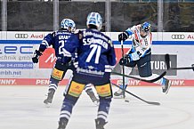 Eishockey, Herren, DEL, Saison 2024-2025, Vorbereitung, ERC Ingolstadt - Dresdner Eislöwen, 18.08.2024