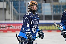 Eishockey, Frauen, DFEL, Saison 2024-2025, ERC Ingolstadt - Mad Dogs Mannheim, 23.11.2024
