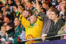 ERC Ingolstadt vs Augsburger Panther, Eishockey, DEL, Deutsche Eishockey Liga, Spieltag 21, 23.11.2016

