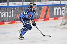 Eishockey, Frauen, DFEL, Saison 2023-2024, ERC Ingolstadt - EC Bergkamener Bären, 28.10.2023