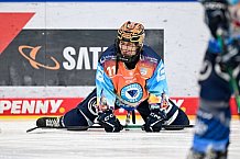 Eishockey, Frauen, DFEL, Saison 2024-2025, ERC Ingolstadt - EC Bergkamener Bären, 12.10.2024