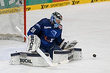 ERC Ingolstadt - Krefeld Pinguine, Eishockey, DEL, Deutsche Eishockey Liga, Spieltag 34, 05.01.2016, Foto: st-foto.de / Oliver STRISCH