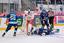 Hockey, Mens, CHL, Season 2025-2026, Regular Season, Round of 16, ERC Ingolstadt - EC Red Bull Salzburg, 12.11.2025