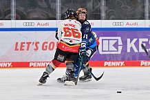 Eishockey, Frauen, DFEL, Saison 2024-2025, ERC Ingolstadt - EC Bergkamener Bären, 12.10.2024