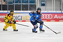 Eishockey, U20, DNL, Saison 2024-2025, ERC Ingolstadt - Krefelder EV 81, 01.03.2025