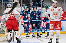 Hockey, Mens, CHL, Season 2025-2026, Regular Season, Round of 16, ERC Ingolstadt - EC Red Bull Salzburg, 12.11.2025