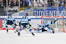 Eishockey, Herren, DEL, Saison 2023-2024, Spieltag 23, ERC Ingolstadt - Straubing Tigers, 01.12.2023