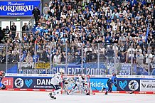 Eishockey, Herren, DEL, Saison 2023-2024, Spieltag 20, ERC Ingolstadt - Adler Mannheim, 19.11.2023