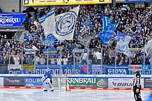 Eishockey, Herren, DEL, Saison 2025-2026, Spiel 38, ERC Ingolstadt - Kölner Haie, 09.01.2026