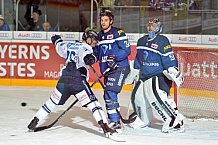ERC Ingolstadt vs Iserlohn Roosters, Eishockey, DEL, Deutsche Eishockey Liga, Spieltag 27, 11.12.2016