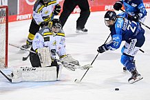 Eishockey, Frauen, DFEL, Saison 2020-2021, ERC Ingolstadt - Mad Dogs Mannheim, 30.01.2021