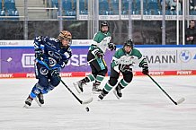 Eishockey, Frauen, European Womens Hockey League, Saison 2024-2025, ERC Ingolstadt - Lakers Kärnten, 13.09.2024