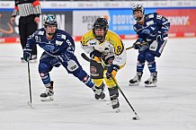 Eishockey, Frauen, DFEL, Saison 2021-2022, ERC Ingolstadt - Mad Dogs Mannheim, 23.10.2021