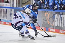 Eishockey, Frauen, DFEL, Saison 2020-2021, ERC Ingolstadt - Eisbären Juniors Berlin, 10.01.2021