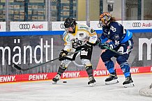 Eishockey, Frauen, DFEL, Saison 2024-2025, ERC Ingolstadt - Mad Dogs Mannheim, 23.11.2024