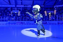 Eishockey, Herren, DEL, Saison 2024-2025, Spieltag 22, ERC Ingolstadt - Düsseldorfer EG, 01.12.2024