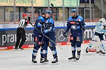 Eishockey, Herren, DEL, Saison 2025-2026, Spiel 44, ERC Ingolstadt - Dresdner Eislöwen, 27.01.2026