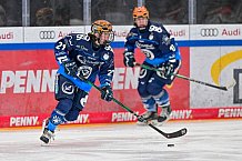 Eishockey, Frauen, DFEL, Saison 2024-2025, ERC Ingolstadt - EC Bergkamener Bären, 05.01.2025