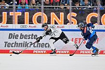 Eishockey, Herren, DEL, Saison 2024-2025, Spieltag 42, ERC Ingolstadt - Kölner Haie, 31.01.2025