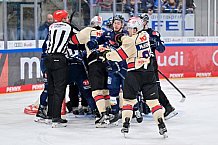Eishockey, Herren, DEL, Saison 2024-2025, Playoffs Viertelfinale, Spiel 5, ERC Ingolstadt - Nürnberg Ice Tigers, 26.03.2025
