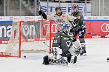 Eishockey, Herren, DEL, Saison 2023-2024, Spieltag 36, ERC Ingolstadt - Kölner Haie, 07.01.2024