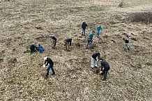 Eishockey, Herren, DEL, Saison 2023-2024, ERC Ingolstadt - Baumpflanzaktion, 03.03.2024