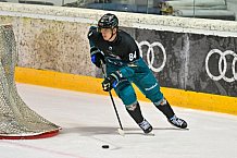Eishockey, Herren, DEL, Saison 2026-2027, Steinbach Black Wings Linz - ERC Ingolstadt, 23.08.2026
