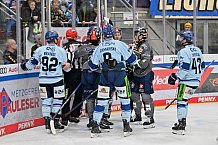 Eishockey, Herren, DEL, Saison 2023-2024, Spieltag 30, ERC Ingolstadt - Straubing Tigers, 23.12.2023