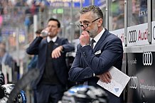 Eishockey, Herren, DEL, Saison 2024-2025, Spieltag 19, ERC Ingolstadt - Grizzlys Wolfsburg, 24.11.2024