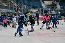 Eishockey, Herren, DEL, Saison 2024-2025, ERC Ingolstadt - Kids On Ice Day, 11.01.2025