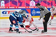 Hockey, Mens, CHL, Season 2025-2026, Regular Season, Round of 16, ERC Ingolstadt - EC Red Bull Salzburg, 12.11.2025