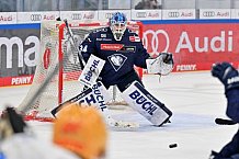 Eishockey, Herren, DEL, Saison 2024-2025, Spieltag 25, ERC Ingolstadt - Pinguins Bremerhaven, 12.12.2024