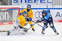 Eishockey, Frauen, DFEL, Saison 2025-2026, Testspiel, ERC Ingolstadt - HC Davos, 14.02.2026
