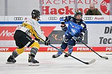 Eishockey, Frauen, DFEL, Saison 2023-2024, ERC Ingolstadt - Mad Dogs Mannheim, 18.02.2024