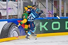 Hockey, Mens, CHL, Season 2025-2026, Regular Season, Game Day 1, ERC Ingolstadt - Ilves Tampere, 28.08.2025