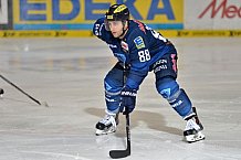 ERC Ingolstadt vs Grizzlys Wolfsburg, Eishockey, DEL, Deutsche Eishockey Liga, 31.01.2016