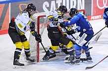 Eishockey, Frauen, DFEL, Saison 2020-2021, ERC Ingolstadt - Mad Dogs Mannheim, 30.01.2021