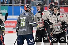Eishockey, Herren, DEL, Saison 2023-2024, Spieltag 51, ERC Ingolstadt - Kölner Haie, 03.03.2024