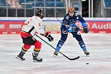Eishockey, Frauen, DFEL, Saison 2024-2025, ERC Ingolstadt - EC Bergkamener Bären, 04.01.2025