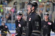 Eishockey, Herren, DEL, Saison 2024-2025, Spieltag 36, ERC Ingolstadt - Kölner Haie, 12.01.2025