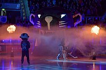 ERC Ingolstadt vs EHC Red Bull München, DEL, Deutsche Eishockey Liga, Spieltag 21, 24.11.2019