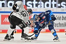 Eishockey, Herren, DEL, Saison 2024-2025, Spieltag 36, ERC Ingolstadt - Kölner Haie, 12.01.2025