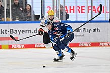 Eishockey, Herren, DEL, Saison 2024-2025, Spieltag 14, ERC Ingolstadt - Löwen Frankfurt, 31.10.2024